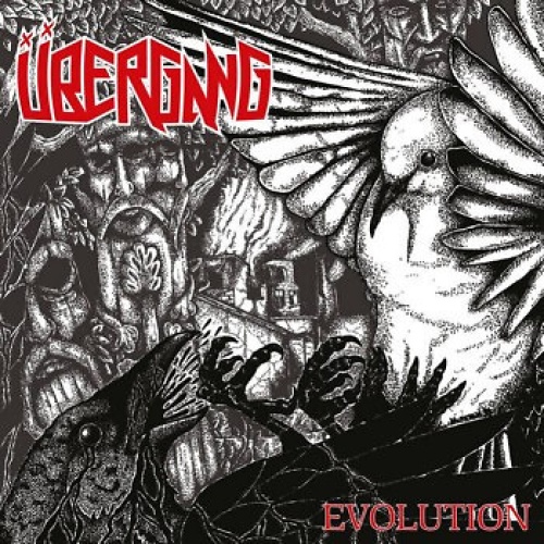 CD, Album Übergang (3) - Evolution