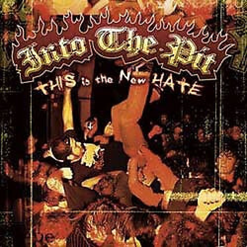 Hybrid, DualDisc Various - Into The Pit - This Is The New Hate