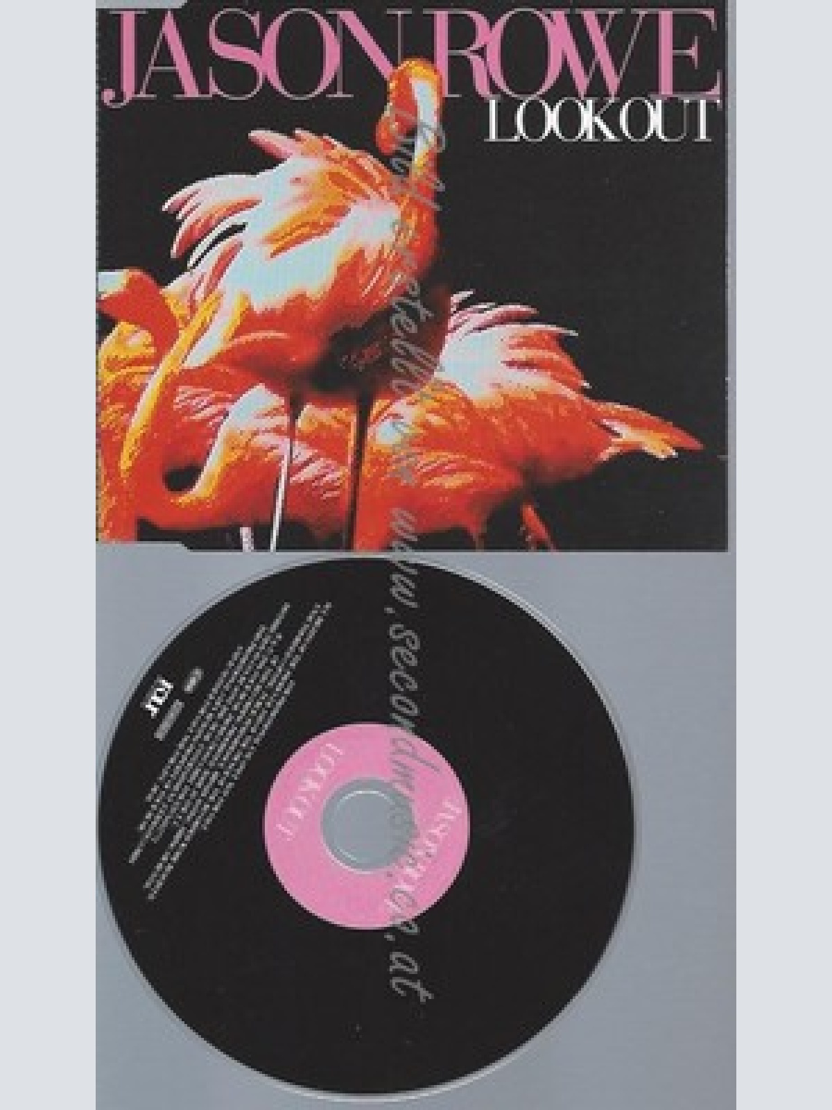 PROMO CD--JASON ROWLE --LOOK OUT --