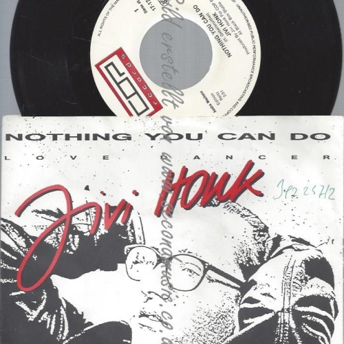 7"  Jivi Honk  Nothing You Can Do