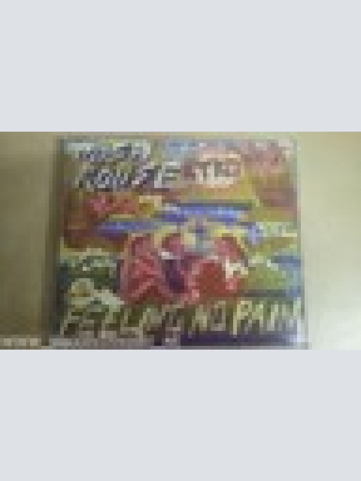 MAXI CD -JOSH ROUSE --FEELING NO PAIN--3  TRACKS