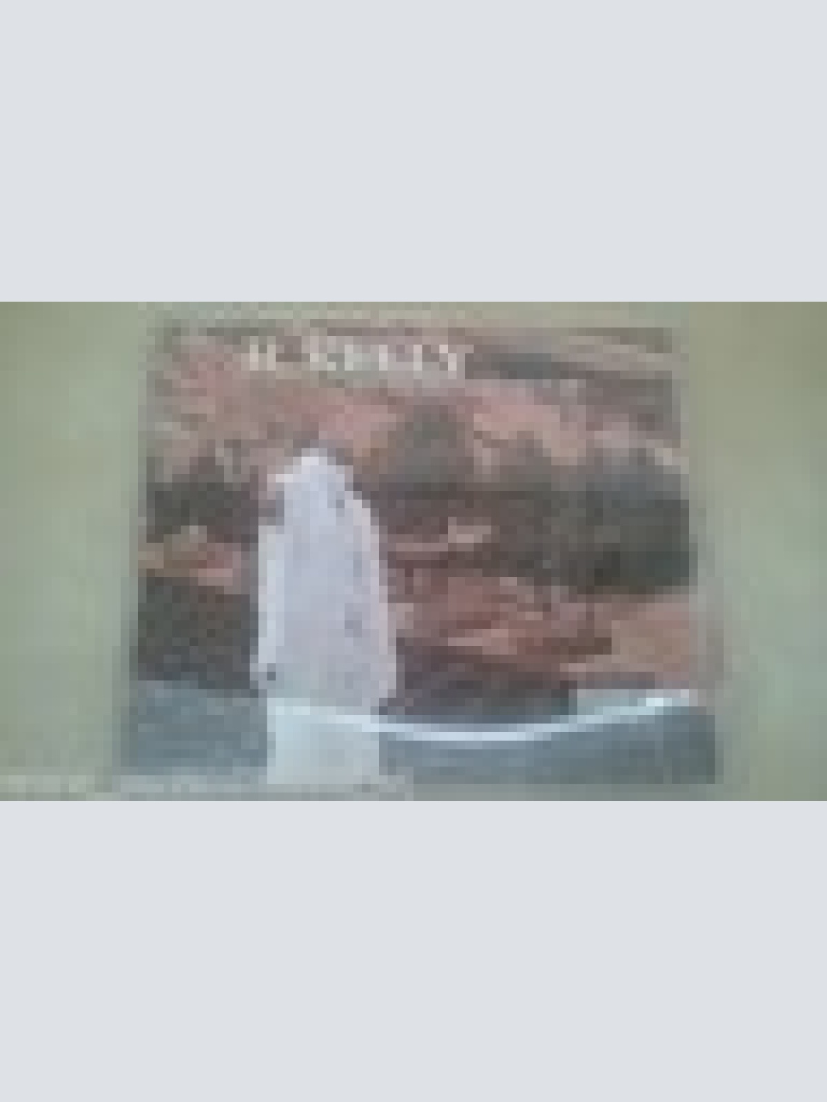 MAXI CD--R KELLY--THE STORM IS OVER NOW--3  TRACKS