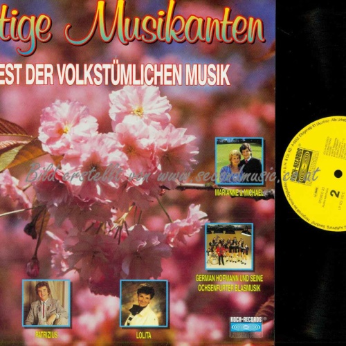 LP-- Lustige Musikanten  Ein Fest der Volkstümlichen Musik -Alpenoberkrai  // NM