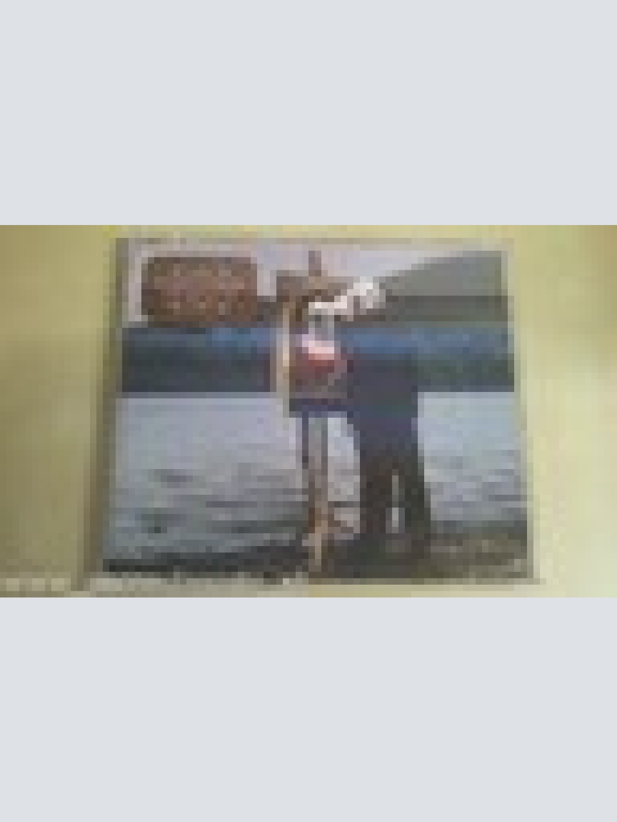 MAXI CD--FUNERAL FOR A FRIEND--ESCAPE ARTISTS NEVER DIE --PROMO--3 TRACKS