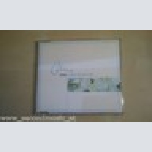 MAXI CD--CELIN DION--A NEW DAY HAS COME--4 TRACKS