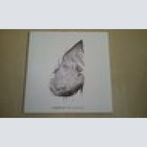 MAXI CD--COLDPALY--THE SCIENTIEST---PROMO-CARDSLEEVE-1 TRACKS