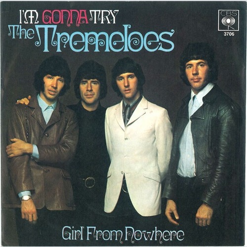 7", Single The Tremeloes - I'm Gonna Try / Girl From Nowhere