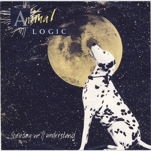 7", Single Animal Logic - Someday We'll Understand