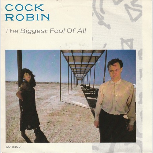 7", Single Cock Robin - The Biggest Fool Of All