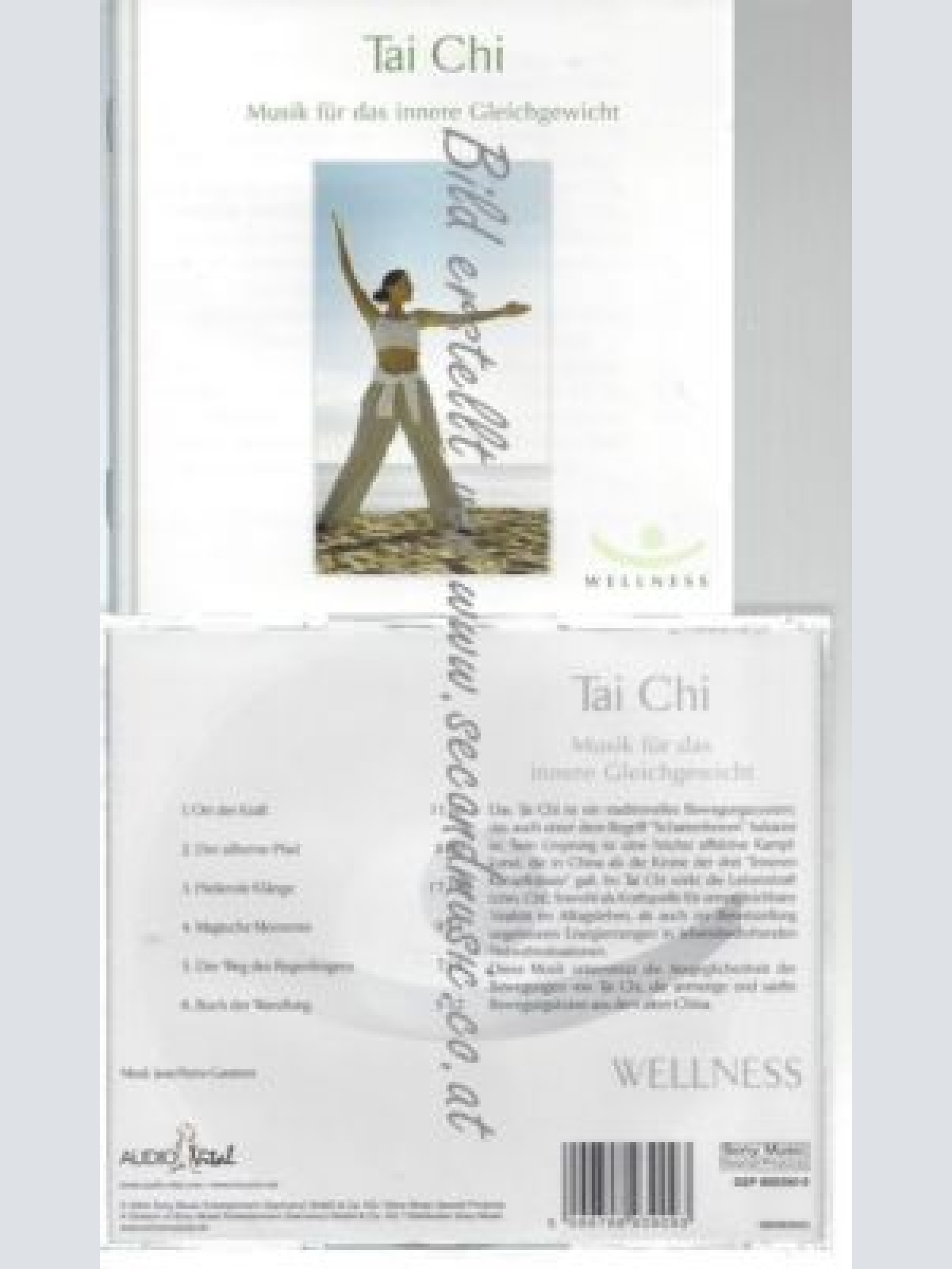 CD--GARATTONI,JEAN-PIERRE--    TAI CHI