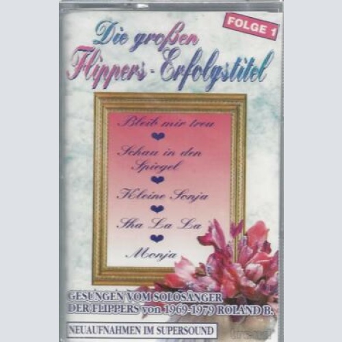 MC---Roland B. -- Die grossen Flippers Erfolgstitel  -Folge 1