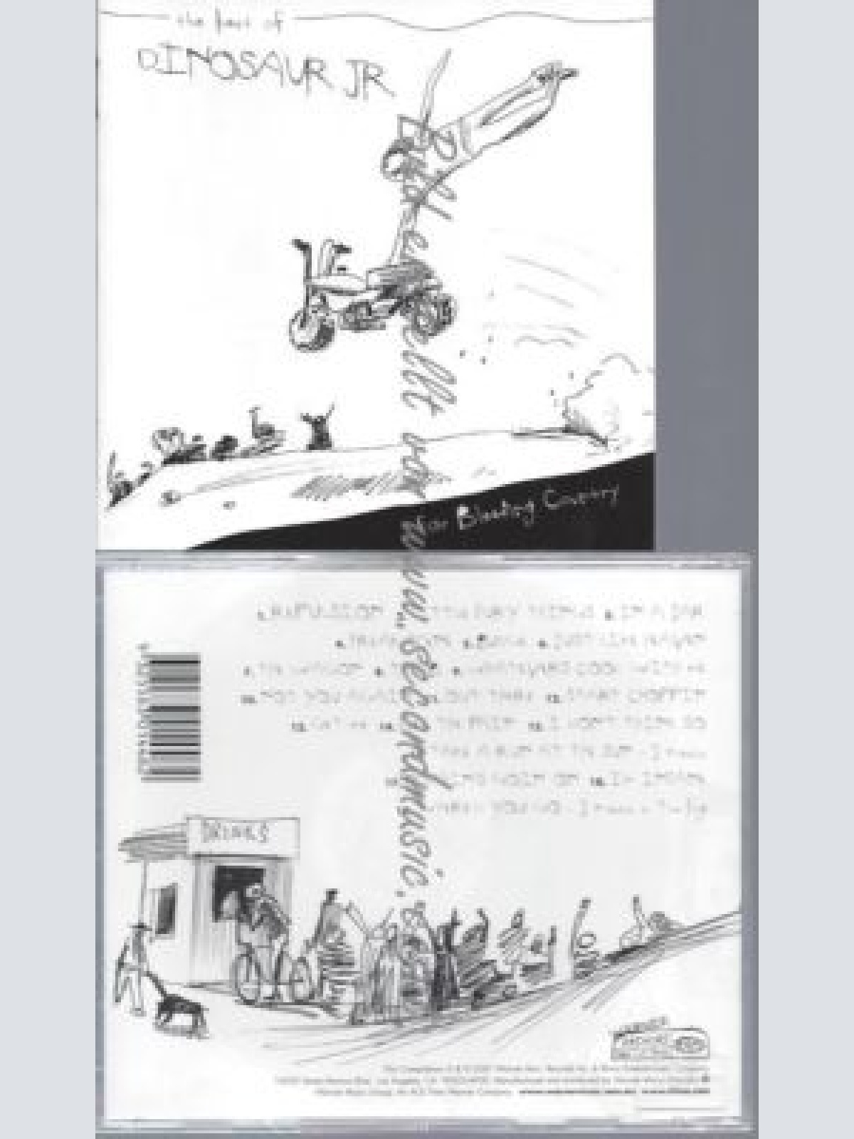 CD--DINOSAUR JR.--    EAR BLEEDING COUNTRY: THE BEST |