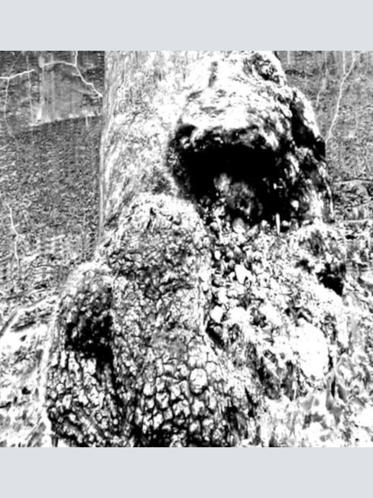 CD, Ltd Siechtum (2) - Hinab