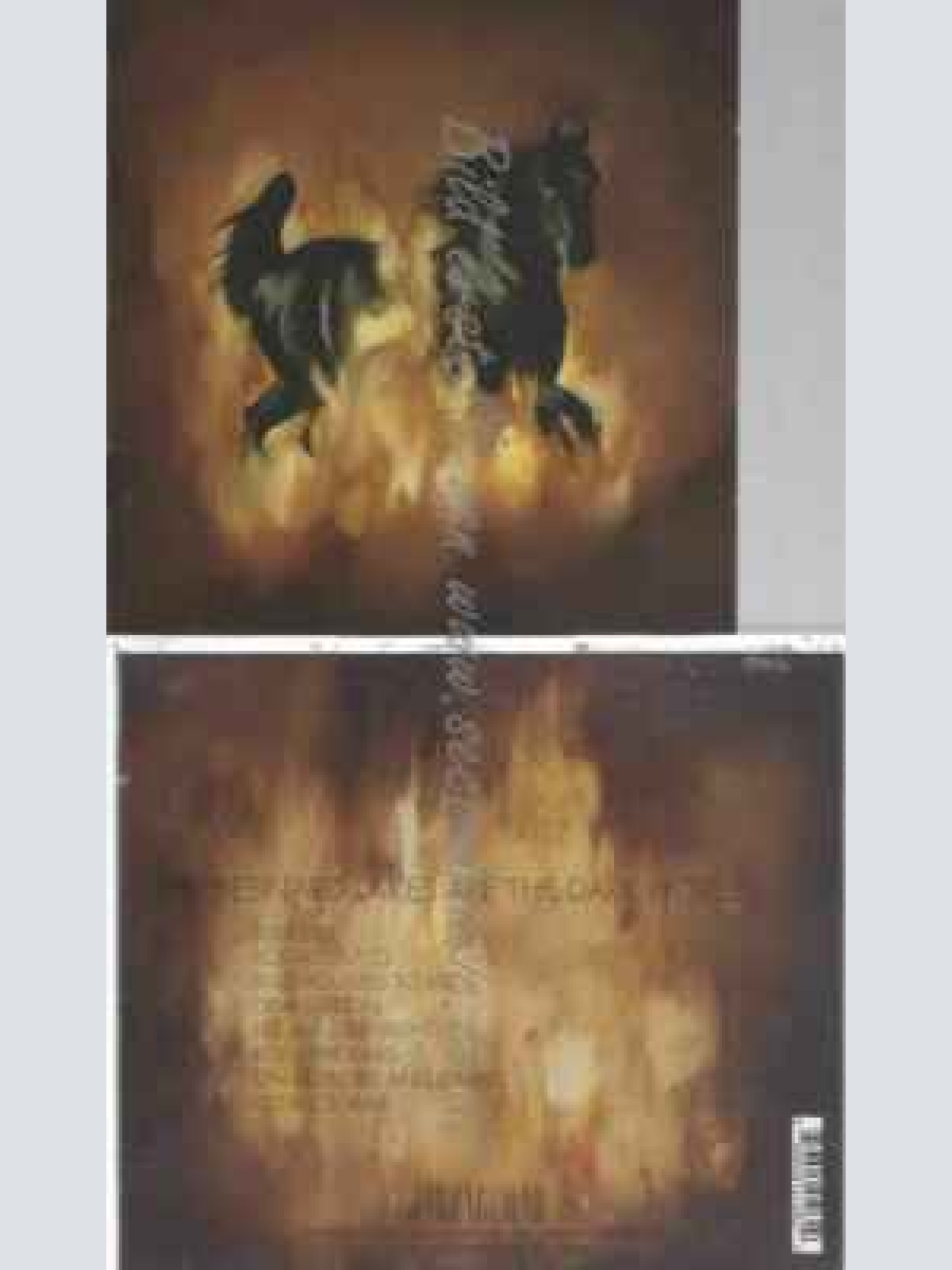 CD--THE BESNARD LAKES | --ARE THE DARK HORSE