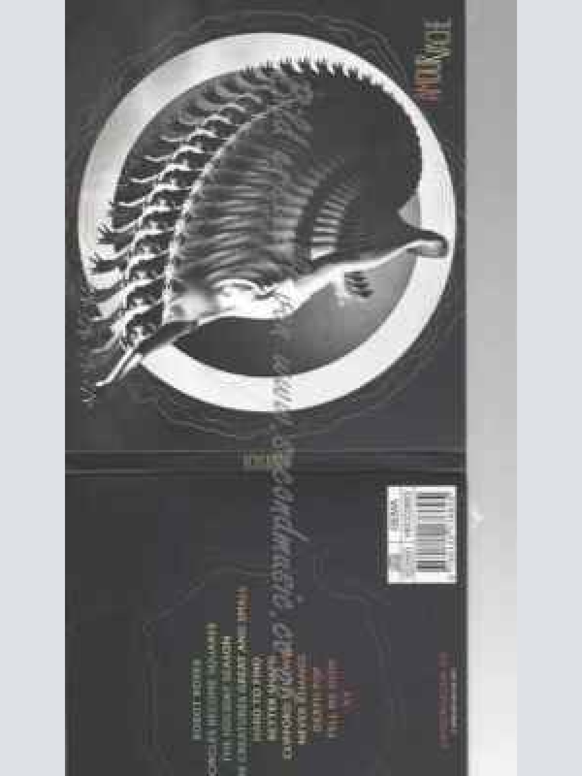 CD--AMOUR VACHE--AMOUR VACHE