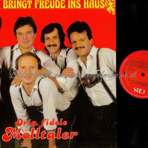 LP-- Die Fidelen Mölltaler --  Musik bringt Freude ins Haus  // NM