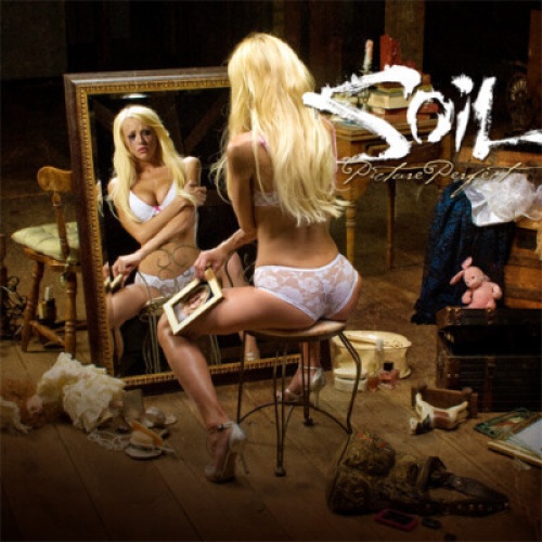 CD, Album SOiL (2) - Picture Perfect