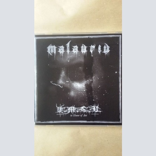 CD, Comp, Ltd Malauriu - A.M.E.N. - In Honor Of Ant