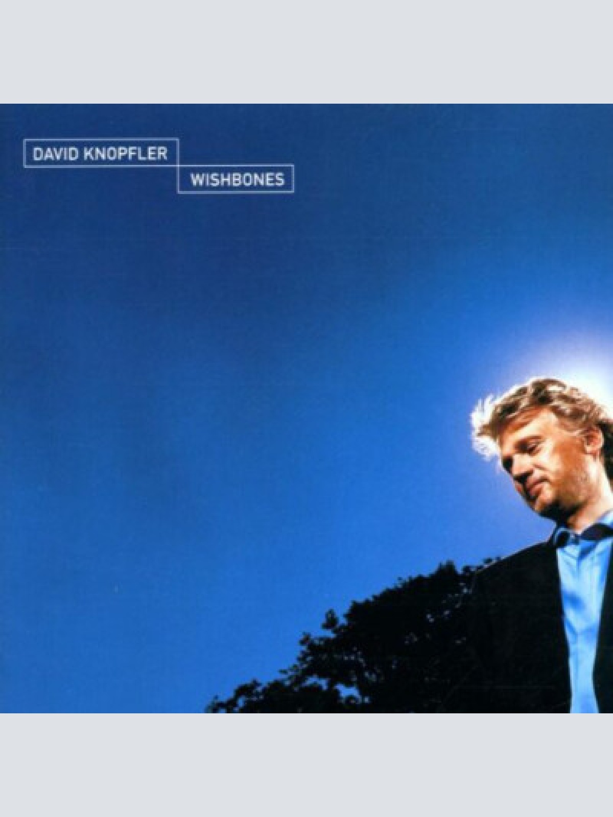 CD, Album David Knopfler - Wishbones