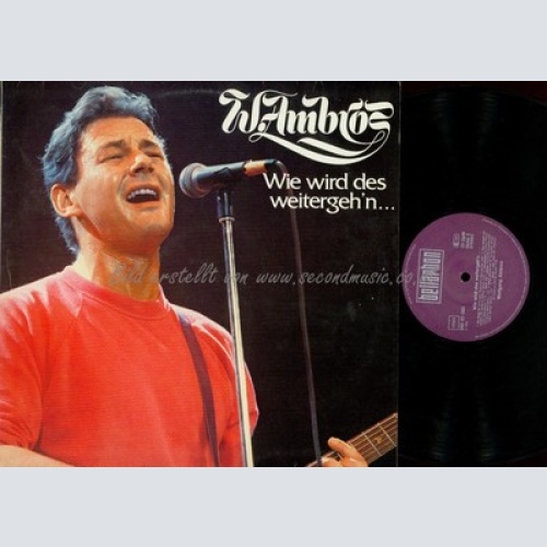LP--WOLFGANG AMBROS--WIE WIRD DES WEITERGEH'N