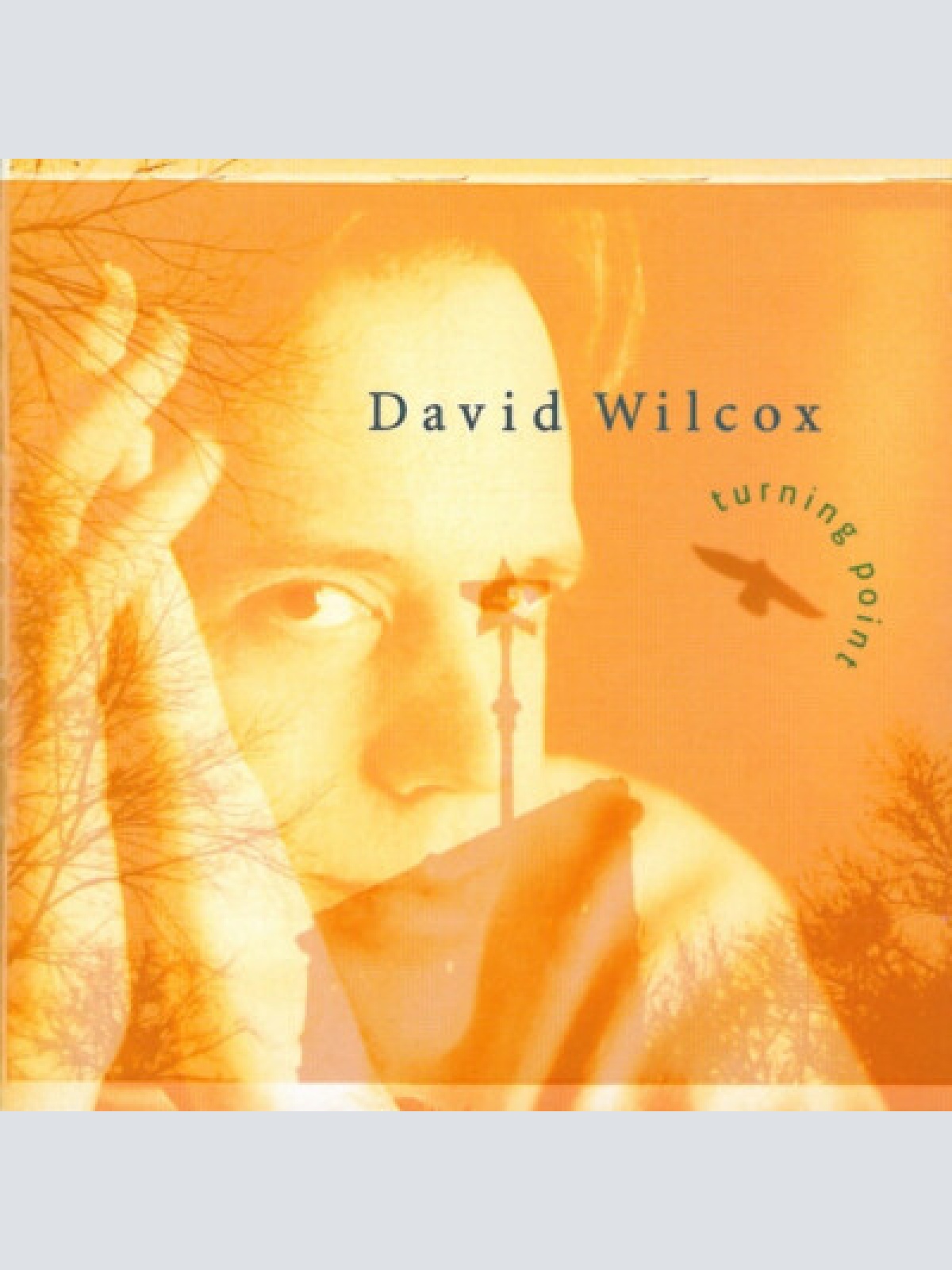 HDCD, Album David Wilcox - Turning Point