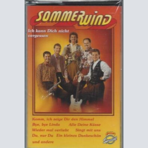 MC--Sommerwind--Ich kann dich nicht vergessen