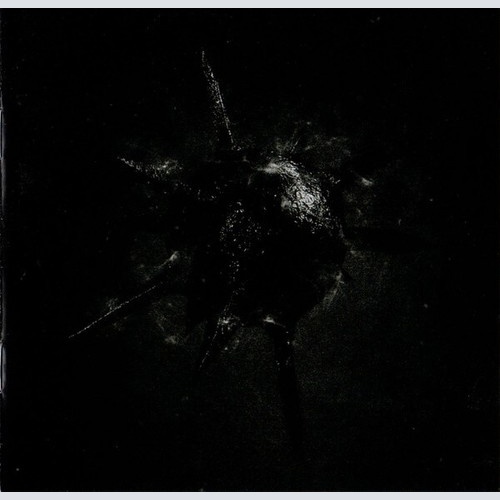 CD, EP Dominion Of Suffering - The Birth Of Hateful Existence