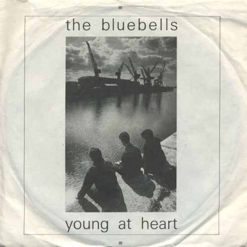 7", Single The Bluebells - Young At Heart