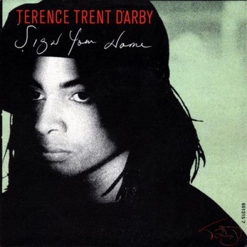 7", Single Terence Trent D'Arby - Sign Your Name