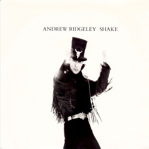 7", Single Andrew Ridgeley - Shake