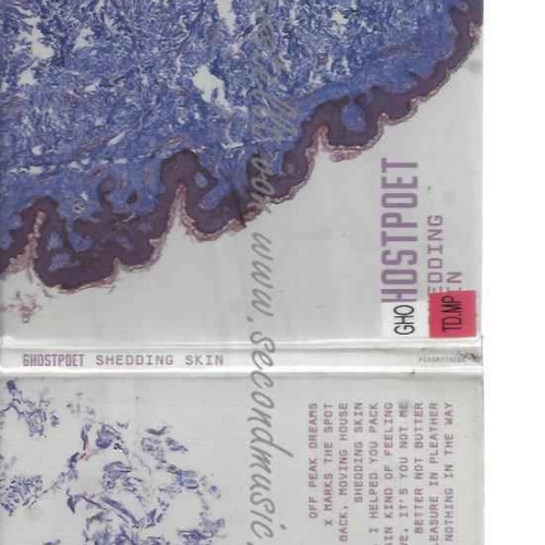 CD--GHOSTPOET | --SHEDDING SKIN