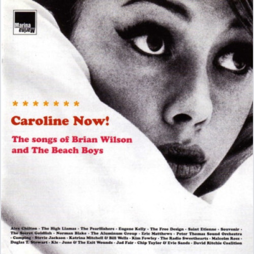 CD, Comp Various - Caroline Now! The Songs Of Brian Wilson And The Beach Boys