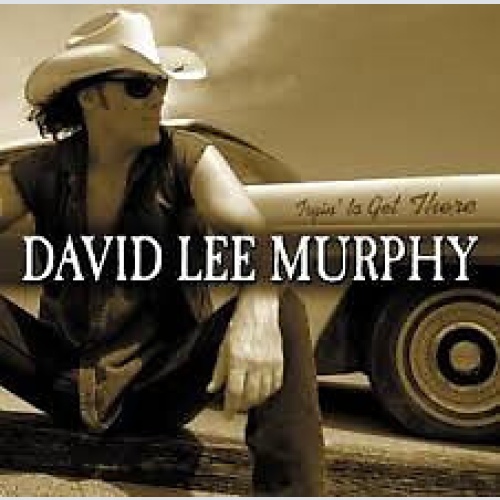 CD, Album David Lee Murphy - Tryin To Get There
