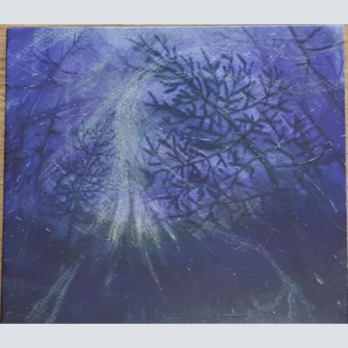 CD, Album Tetrasigil - Forest Storm