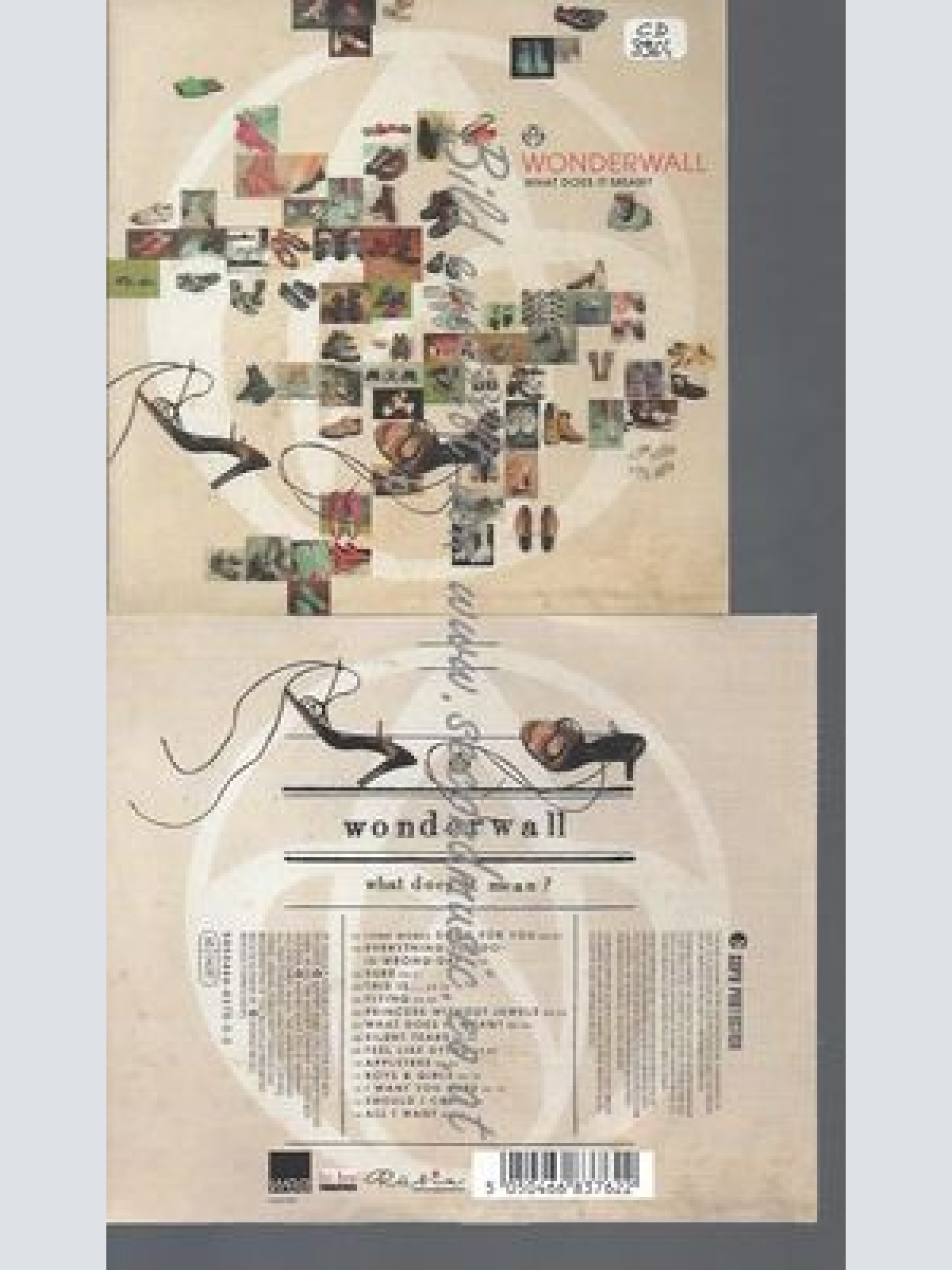 CD--WONDERWALL--WHAT DOES IT MEAN?