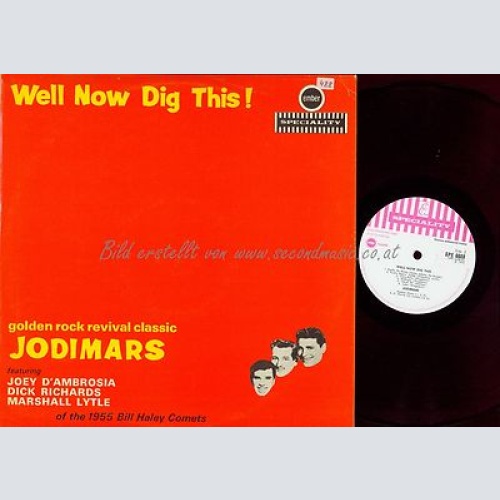 LP--WELL NOW DIG THIS--GOLDEN ROCK REVIVAL CLASSIC JODIMARS--BIL HALEY COMETS--S