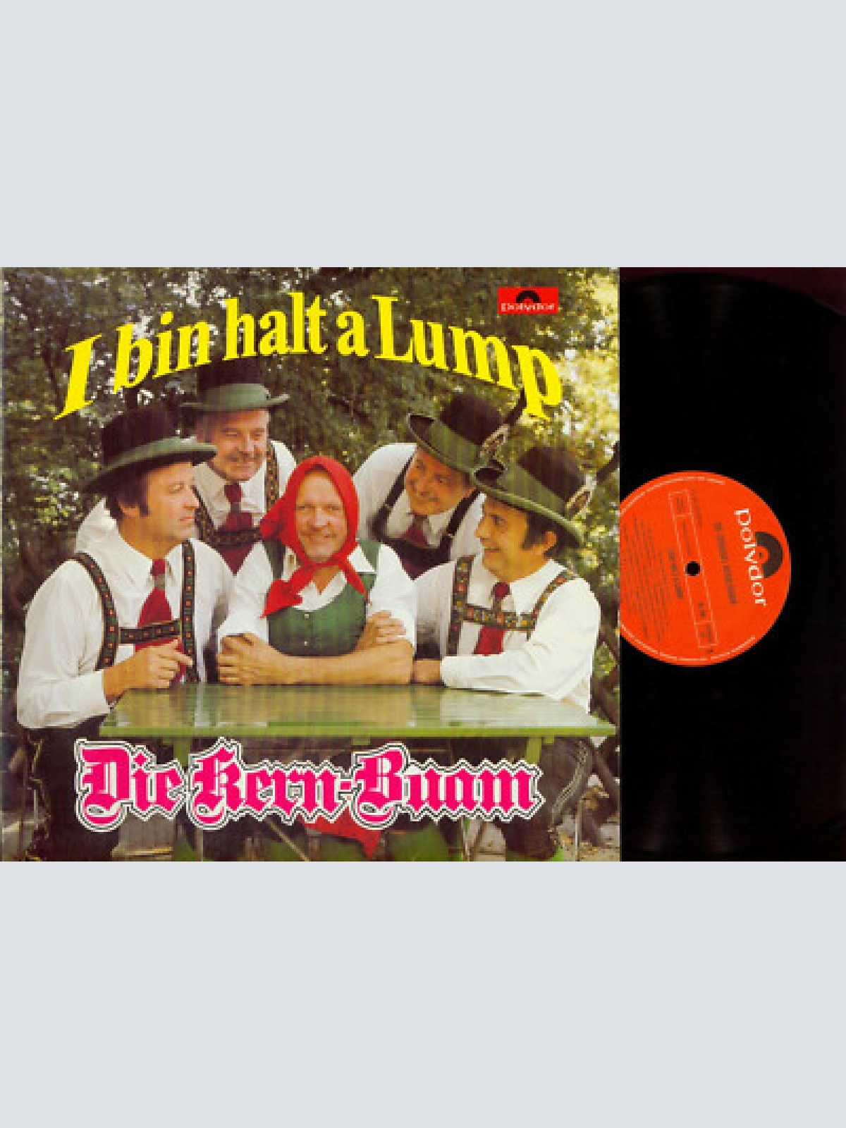 LP--DIE KERN BUAM I BIN HALT A LUMP