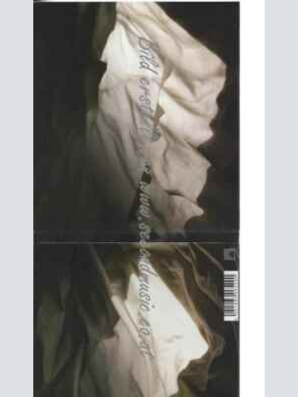 CD--Holy Other | --Held