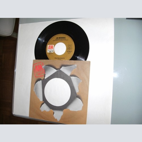 7", Single, Promo Lee Michaels - What Now America