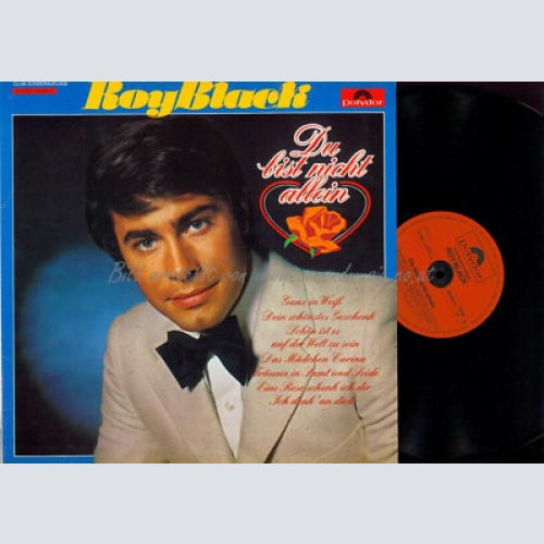 LP-- Roy Black  Unvergessene Hits // Club // DE