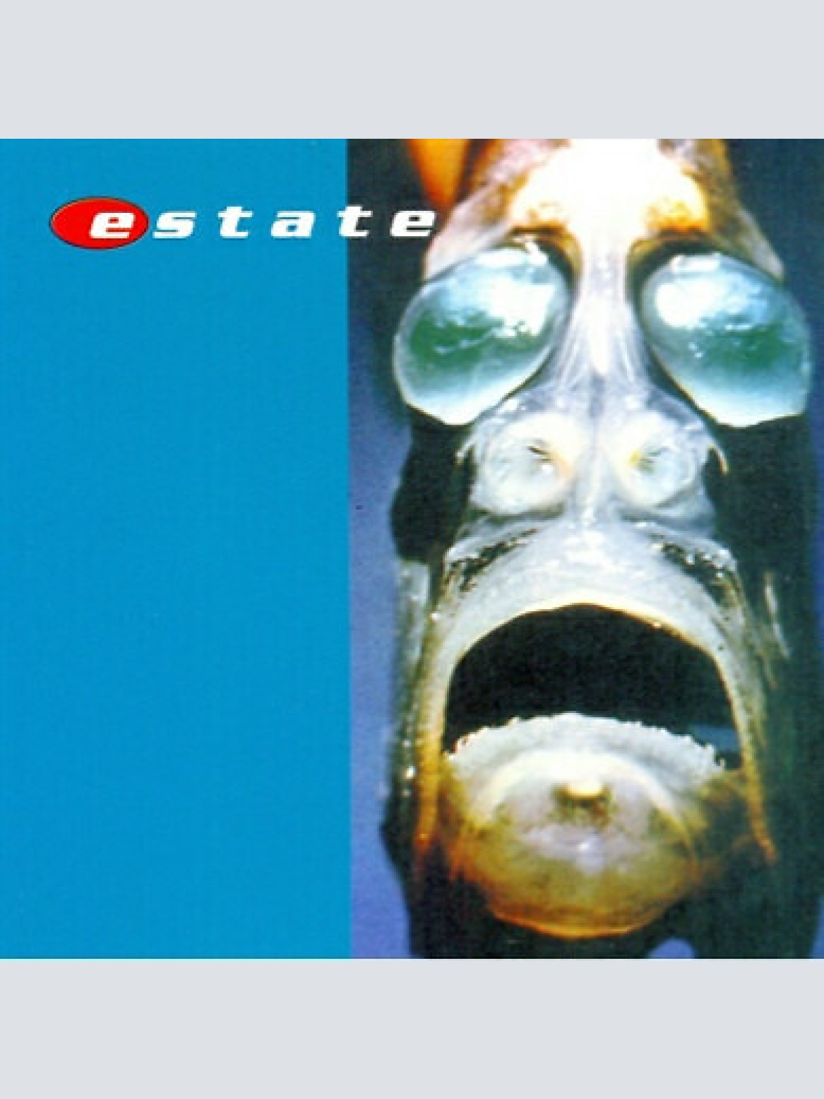 CD, Album Estate (2) - Distance