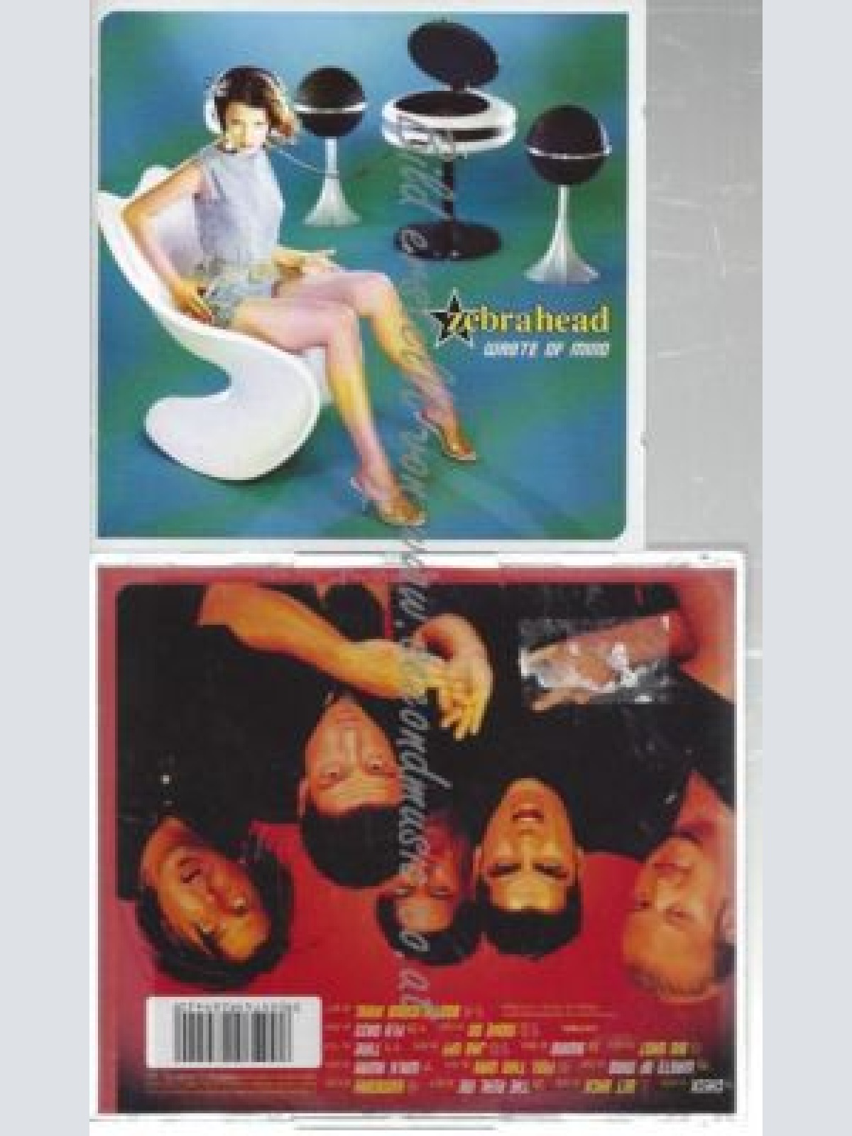 CD--ZEBRAHEAD--    WASTE OF MIND