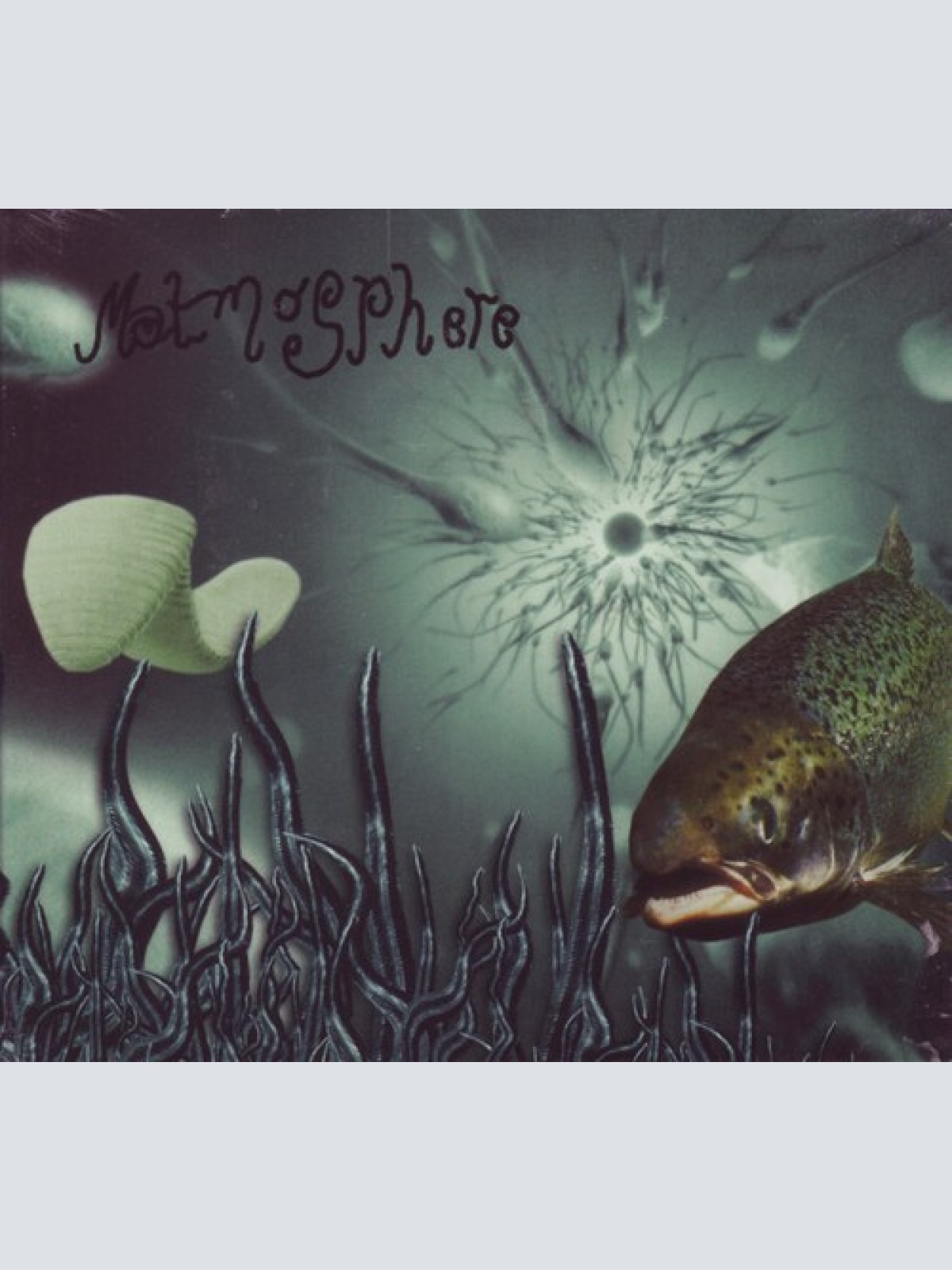 CD, Album Matmosphere - Corned Beef Hash