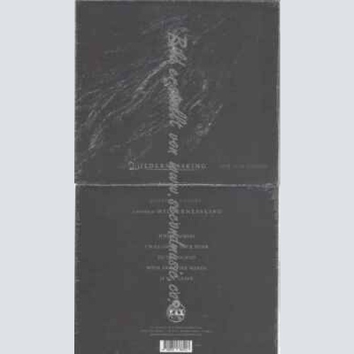 CD--Wildernessking--Mystical Future