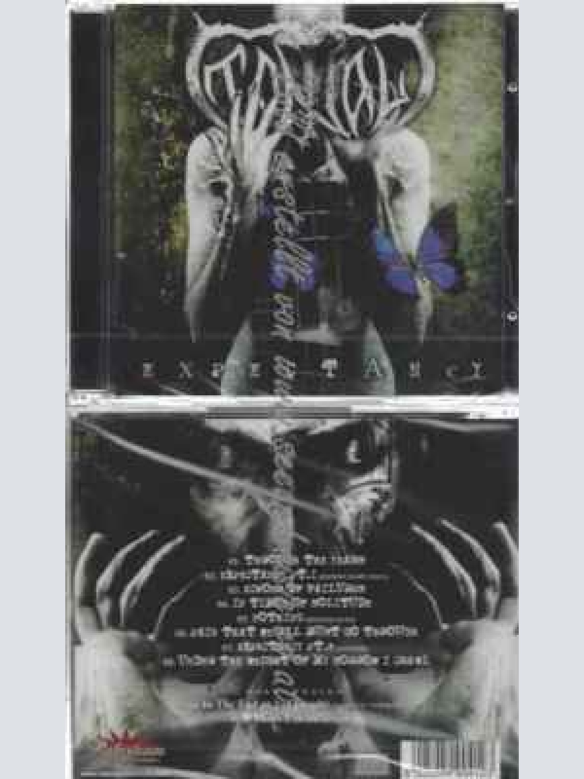 CD--Tantal | --Expectancy