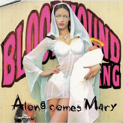 CD, Single, Enh Bloodhound Gang - Along Comes Mary