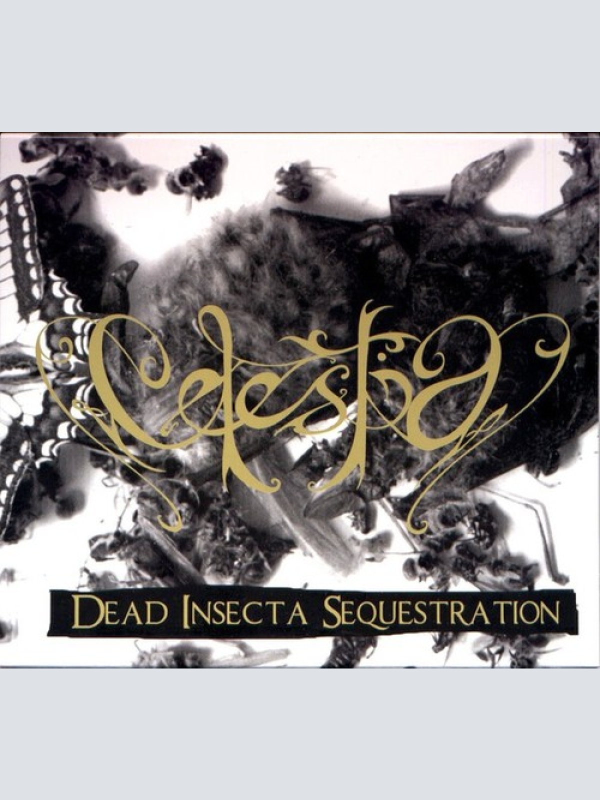 CD, Comp, RE Celestia - Dead Insecta Sequestration
