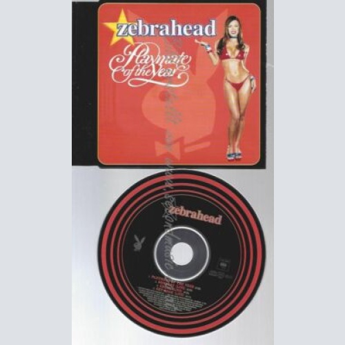 CD--ZEBRAHEAD | --PLAYMATE OF THE YEAR-MAXI