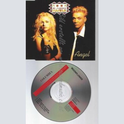 CD--MOONFLOWER | --ANGEL [SINGLE-CD]