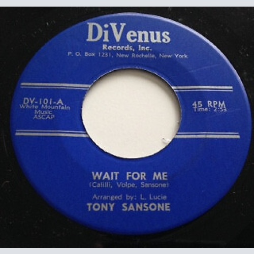 7", Single Tony Sansone - Wait For Me